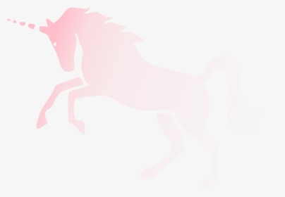 Pink Religion Invisibility Unicorn Invisible Parody - Stallion, HD Png Download, Transparent PNG