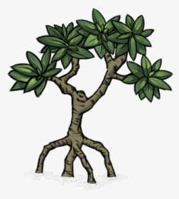 Shipwrecked Icon - Mangrove Clipart Png, Transparent Png, Transparent PNG