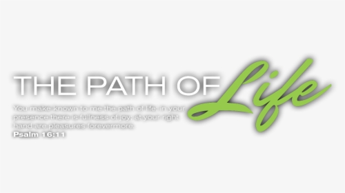 Calligraphy, HD Png Download, Transparent PNG