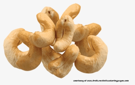 Nut Clipart Cashew Nut - Cashew, HD Png Download, Transparent PNG