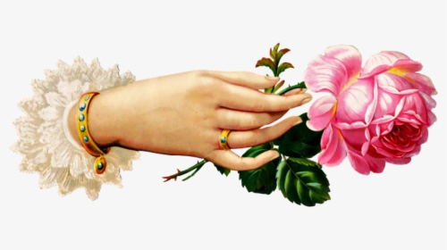 Victorian Rose Cliparts - Victorian Hand Holding Flower, HD Png Download, Transparent PNG