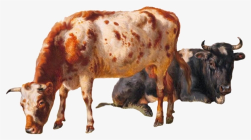 Cattle Vector Grazing Cow - Cows Png, Transparent Png, Transparent PNG