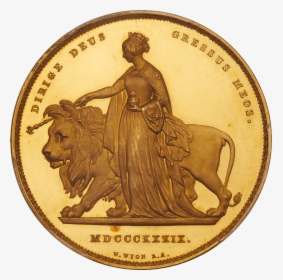 Gold Coin Una And The Lion, HD Png Download, Transparent PNG