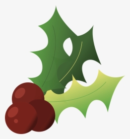 Holly Christmas Winter Free Picture - Christmas Holly, HD Png Download, Transparent PNG