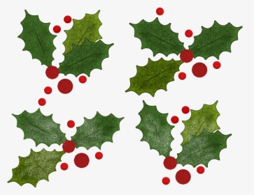 Christmas Ilex Variations - Creative Commons Christmas Ornament, HD Png Download, Transparent PNG