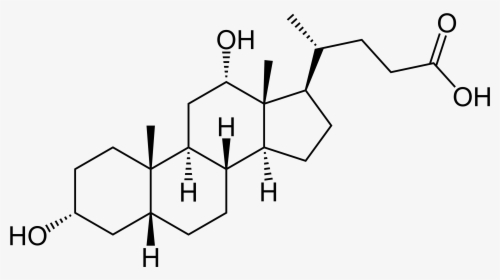 Deoxycholic Acid - Deoxycholic Acid Structure, HD Png Download, Transparent PNG