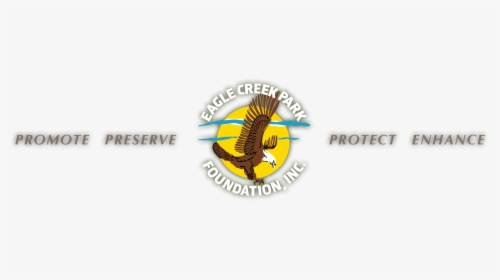 Eagle Creek Park Foundation, Hd Png Download, Transparent Png, Transparent PNG