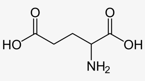 Glutamic Acid - Glutamic Acid Amino Acid Structure, HD Png Download, Transparent PNG