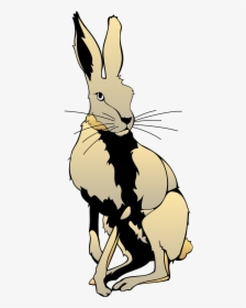 Fox And Rabbit Drawing, HD Png Download, Transparent PNG