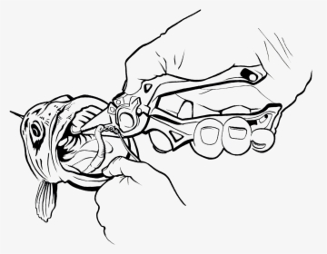 Line Art , Transparent Cartoons - Fishing Pliers Drawing, HD Png Download, Transparent PNG
