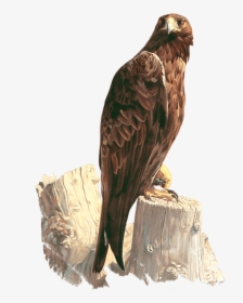 Eagle And Crow Painting, HD Png Download, Transparent PNG
