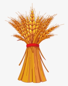 Harvest Clipart Decoration - Fall Corn Stalks Clipart, HD Png Download, Transparent PNG