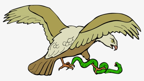 Aguila Volando - Eagle Eating Snake Clipart, HD Png Download, Transparent PNG