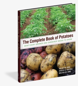 Potatoes Png , Png Download - Russet Burbank Potato, Transparent Png, Transparent PNG