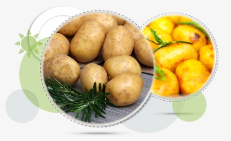 Staple Food Of Europe, HD Png Download, Transparent PNG