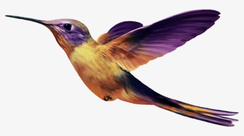 Birds Png Images Free Download, Birds Png - Purple And Yellow Hummingbird, Transparent Png, Transparent PNG