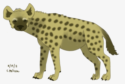 Hyena Png - Hyena, Transparent Png, Transparent PNG