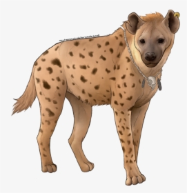 Hyena Png Free Images - Spotted Hyena, Transparent Png, Transparent PNG