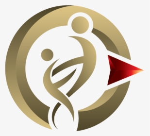Gold Image On Tx - Health Data Compass Logo, HD Png Download, Transparent PNG