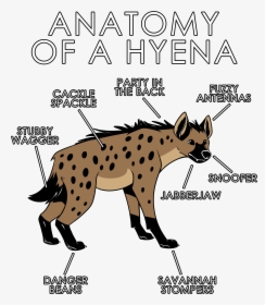 Anatomy Of A Hyena, HD Png Download, Transparent PNG