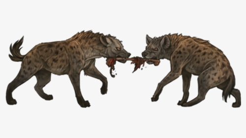 Spotted Hyena, HD Png Download, Transparent PNG