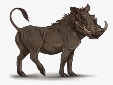 Common Warthog Lion Pig Hyena Mane - Warthog Png, Transparent Png, Transparent PNG