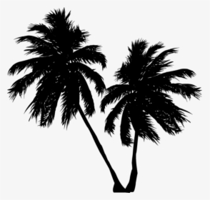 #vector #palmeras #sombra #black #stiker - National Hammock Day 2018, HD Png Download, Transparent PNG