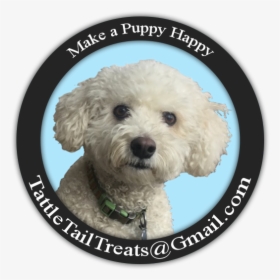 Tattle Tails - Toy Poodle, HD Png Download, Transparent PNG