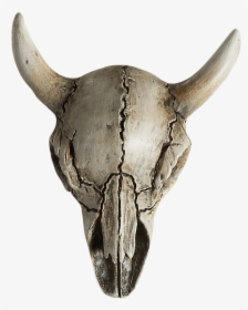 Cow Skull Horror Ornament - Horror Head Png, Transparent Png, Transparent PNG