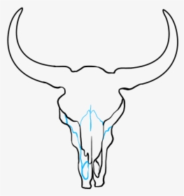 How To Draw Bull Skull - Bull Skull Drawing Step By Step, HD Png Download, Transparent PNG