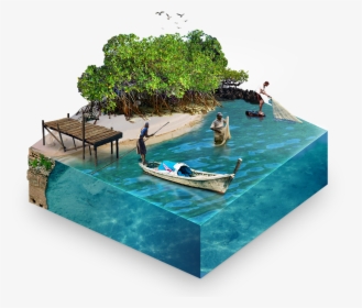 People Swimming Mangroves, HD Png Download, Transparent PNG