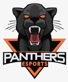 Panthers Esports - No Copyright Esports Logo, HD Png Download, Transparent PNG