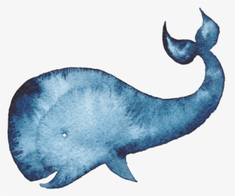 Humpback Whale Watercolor Painting Blue Whale - Watercolor Illustration Of A Whale, HD Png Download, Transparent PNG