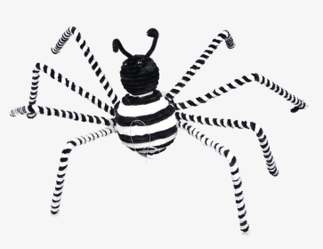17 - Spiders Black And White, HD Png Download, Transparent PNG