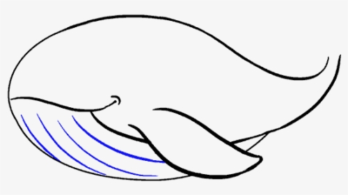 How To Draw Whale, HD Png Download, Transparent PNG