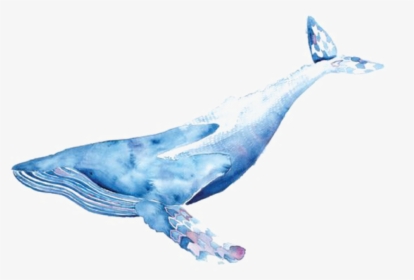 Collection Of Free Whale - Whale Png Watercolor, Transparent Png, Transparent PNG