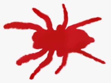 Colorful Scary Spiders Png Clipart - Illustration, Transparent Png, Transparent PNG