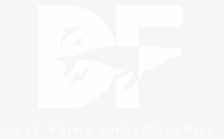 Dale Frink Photography - Illustration, HD Png Download, Transparent PNG