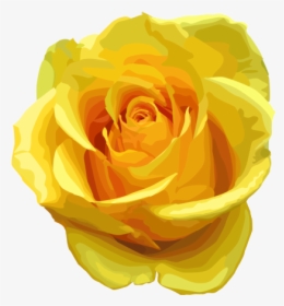 Yellow Rose Png Transparent Image - Yellow Rose Transparent, Png Download, Transparent PNG