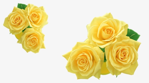 Rose Yellow Flower Clip Art - Yellow Roses Clipart, HD Png Download, Transparent PNG