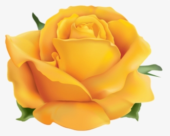 Free Png Yellow Rose Png Png Images Transparent , Png - Transparent Background Yellow Rose Transparent, Png Download, Transparent PNG