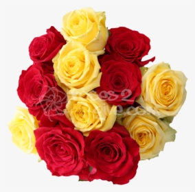 Yellow Combination   Title Red - Rose Flower Red Yellow, HD Png Download, Transparent PNG