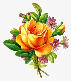 Vine Rose Clip Art Free Best Vine Rose Clip Art On - Free Vintage Flower Png, Transparent Png, Transparent PNG