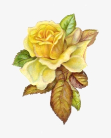 Free Catholic Rose Cliparts - Yellow Vintage Flowers Png, Transparent Png, Transparent PNG