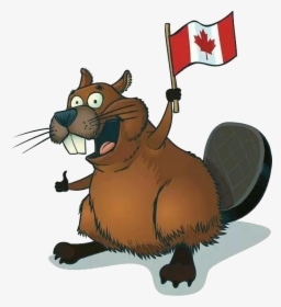 Beaver Png - Beaver Canada Png, Transparent Png, Transparent PNG