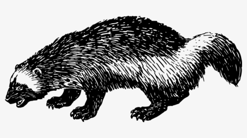 Muskrat Drawing Groundhog - Icon, HD Png Download, Transparent PNG