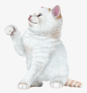 Kitten Cartoon, Girl Cartoon, Kitten Wallpaper, Cat - Domestic Short-haired Cat, HD Png Download, Transparent PNG