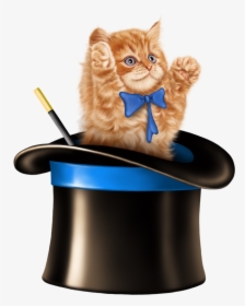 Cat In A Magic Hat, HD Png Download, Transparent PNG