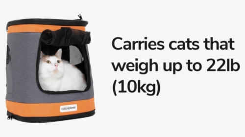 Cat Backpack Ranger Cats 22lb 10kg - Worldskills 2011, HD Png Download, Transparent PNG