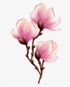 Beautiful Blooming Branch Transparent Png - Blooming Flower Clipart Transparent, Png Download, Transparent PNG